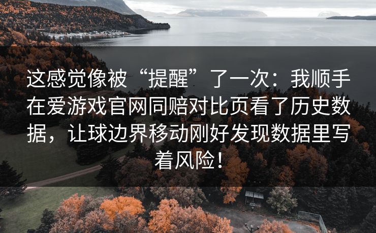 这感觉像被“提醒”了一次：我顺手在爱游戏官网同赔对比页看了历史数据，让球边界移动刚好发现数据里写着风险！