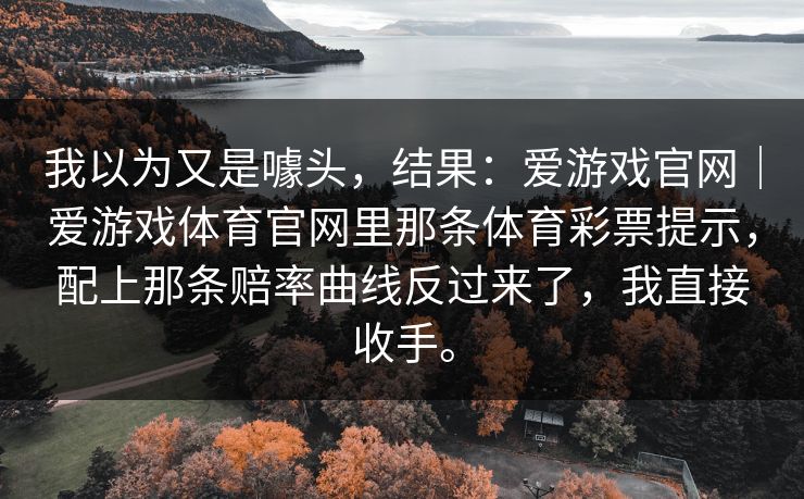 我以为又是噱头，结果：爱游戏官网｜爱游戏体育官网里那条体育彩票提示，配上那条赔率曲线反过来了，我直接收手。